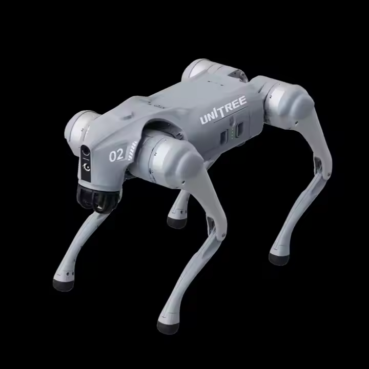 Unitree Go2 New Creature of Embodied AI Robot Dog