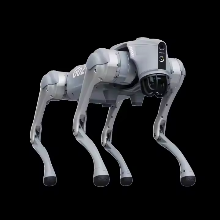 Unitree Go2 New Creature of Embodied AI Robot Dog