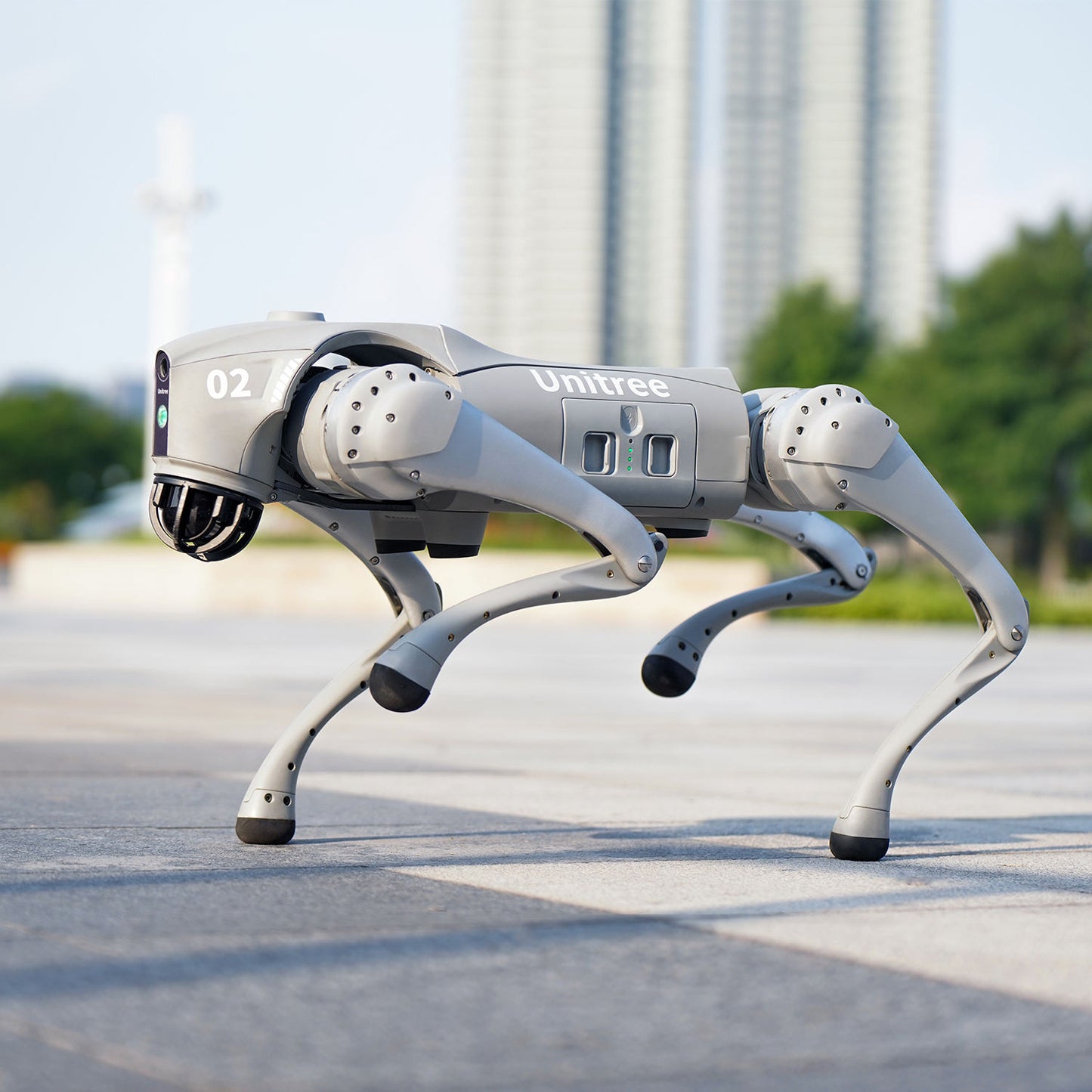 Unitree Go2 New Creature of Embodied AI Robot Dog