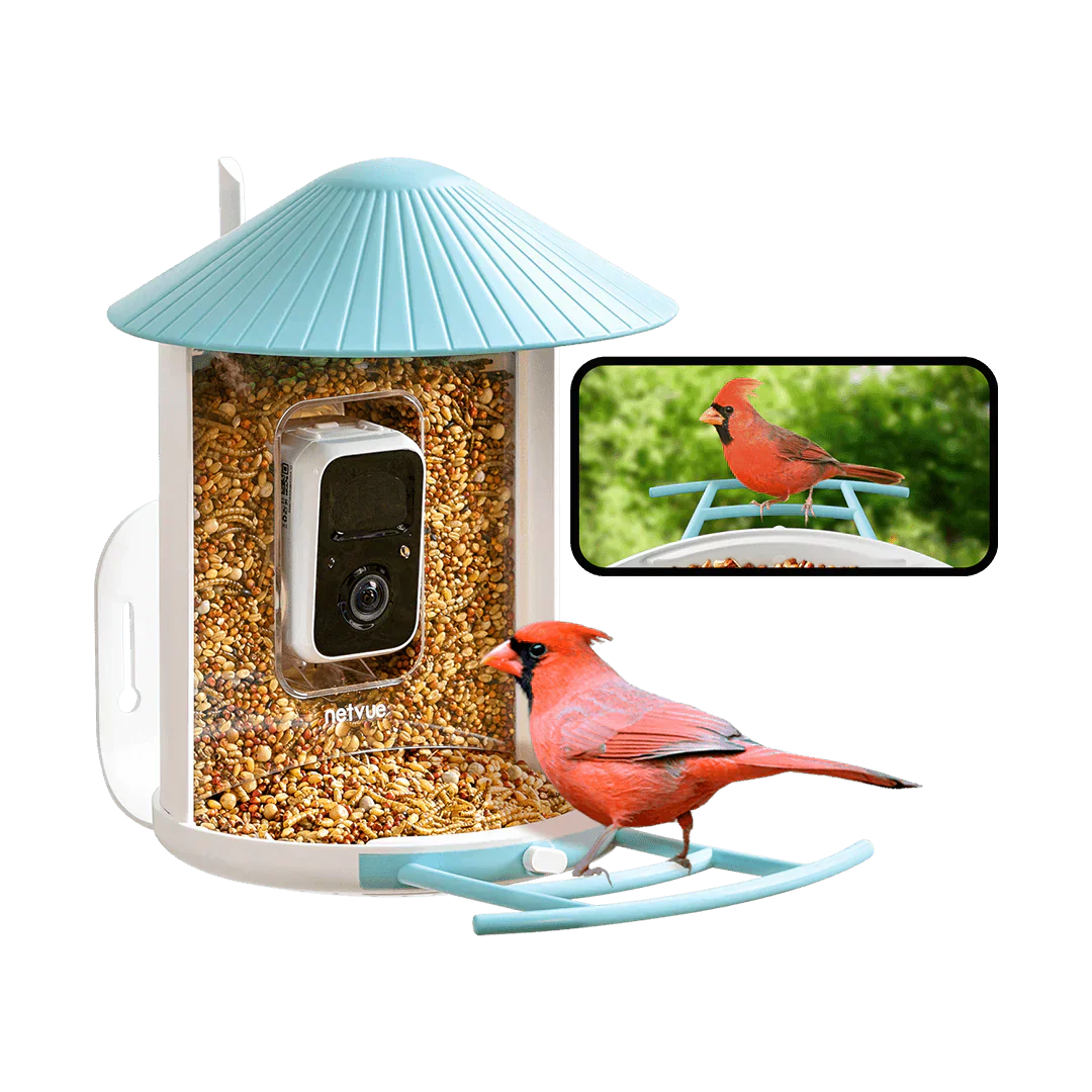 Birdfy Feeder 1 - The Perfect Gift for All