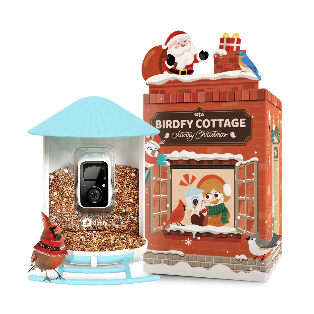 Birdfy Feeder 1 - The Perfect Gift for All