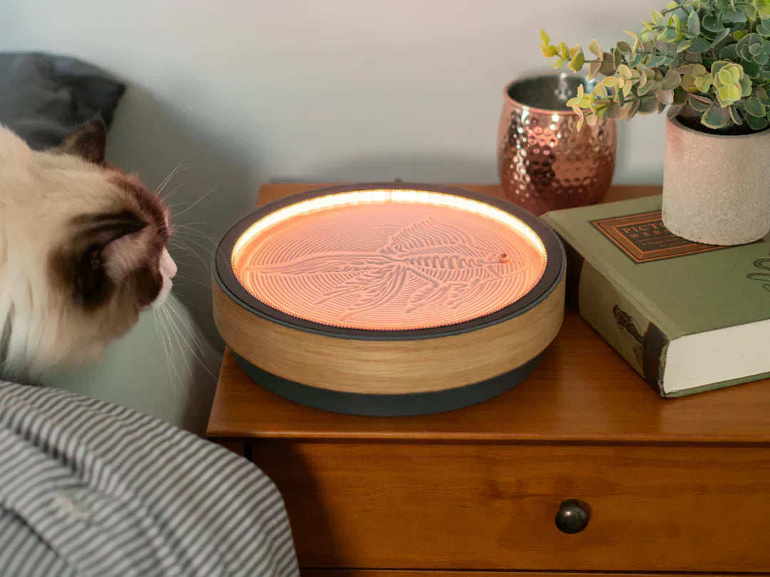 Oasis Mini: Kinetic Art Canvas