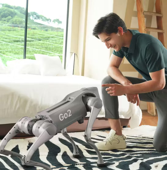 Unitree Go2 New Creature of Embodied AI Robot Dog